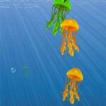 Jellyfish Tank Live Wallpaper Android App Review